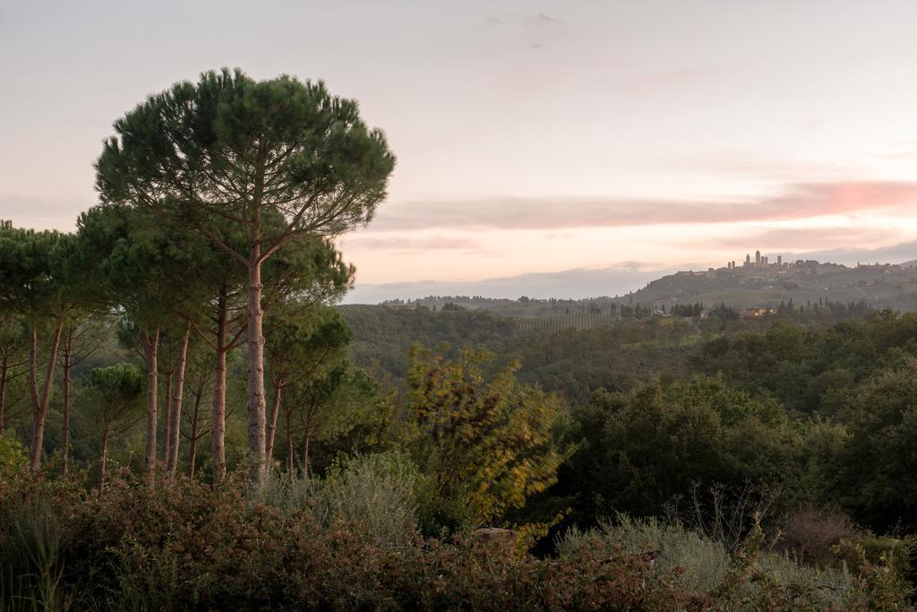 Il Coltro Guest House San Gimignano Exterior photo